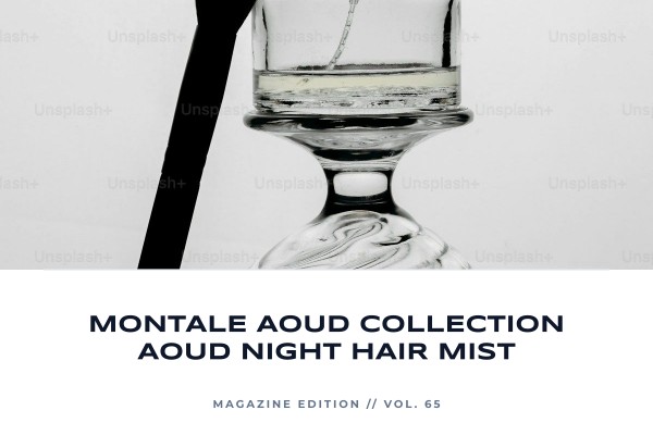 Montale - Aoud Collection Aoud Night Hair Mist