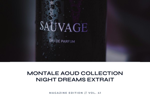 Montale - Aoud Collection Night Dreams Extrait